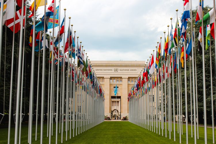 An image of flags outside United Nations